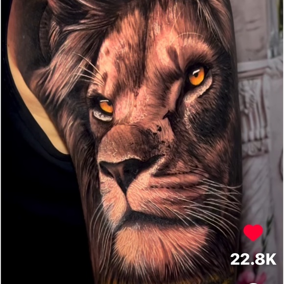 Meet your Posher, Lorry - Picture 6 of 7